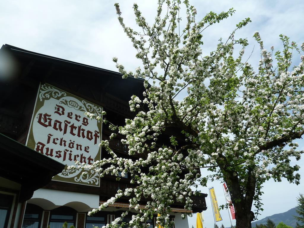 Pension Schone Aussicht Kuchl Zewnętrze zdjęcie